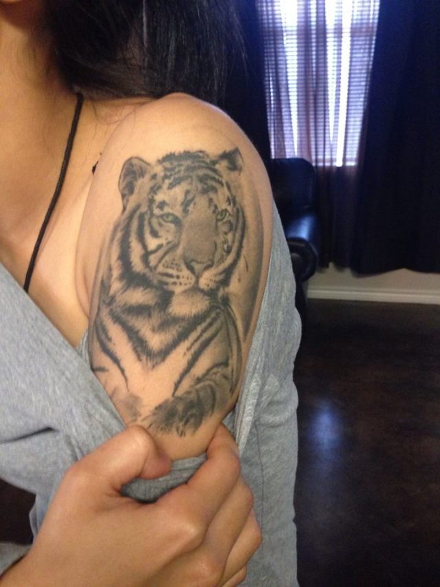 Healed Tiger Portrait